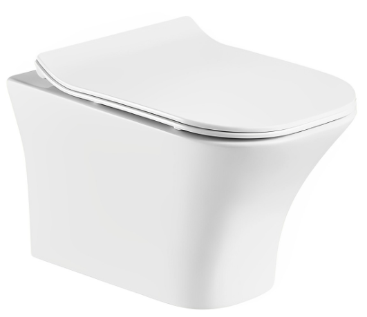 Cerutti SPA Подвесной унитаз Cerutti SPA Vettore Aria MW CT9242 безободковый белый матовый