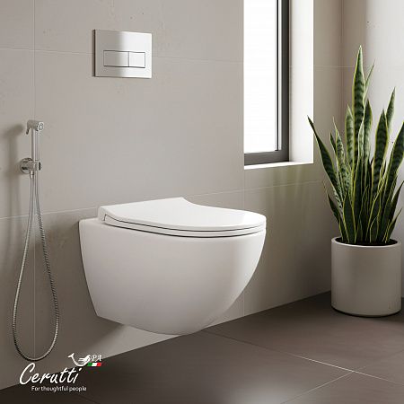Cerutti SPA Унитаз подвесной AMICI Aria Tornado CT11388 безободковый (490х335х340)